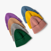 Fashionable Solid Color Autumn and Winter Knitted Hat