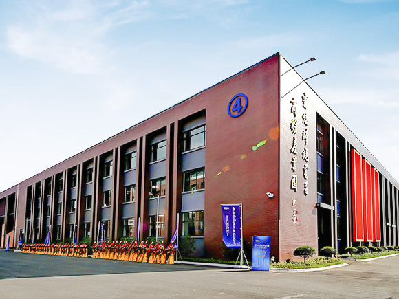 Company Building